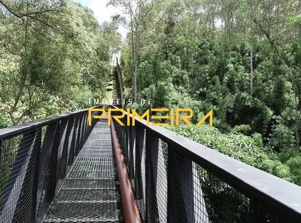 Terrenos Residenciais à venda em Cecilia, Campo Magro/PR, foto 6