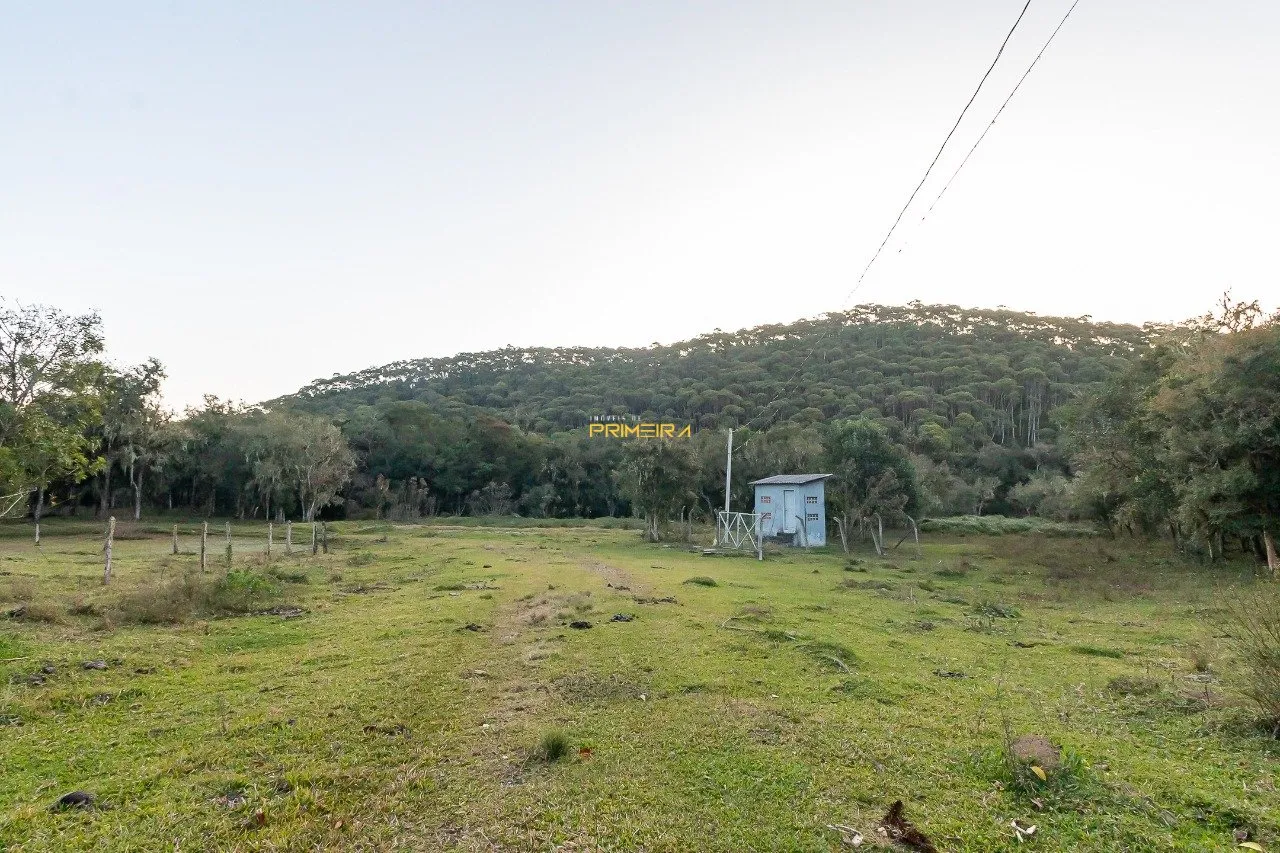 Chácaras / Sítios 3 quartos à venda em cerne, Campina Grande do Sul/PR, foto 37