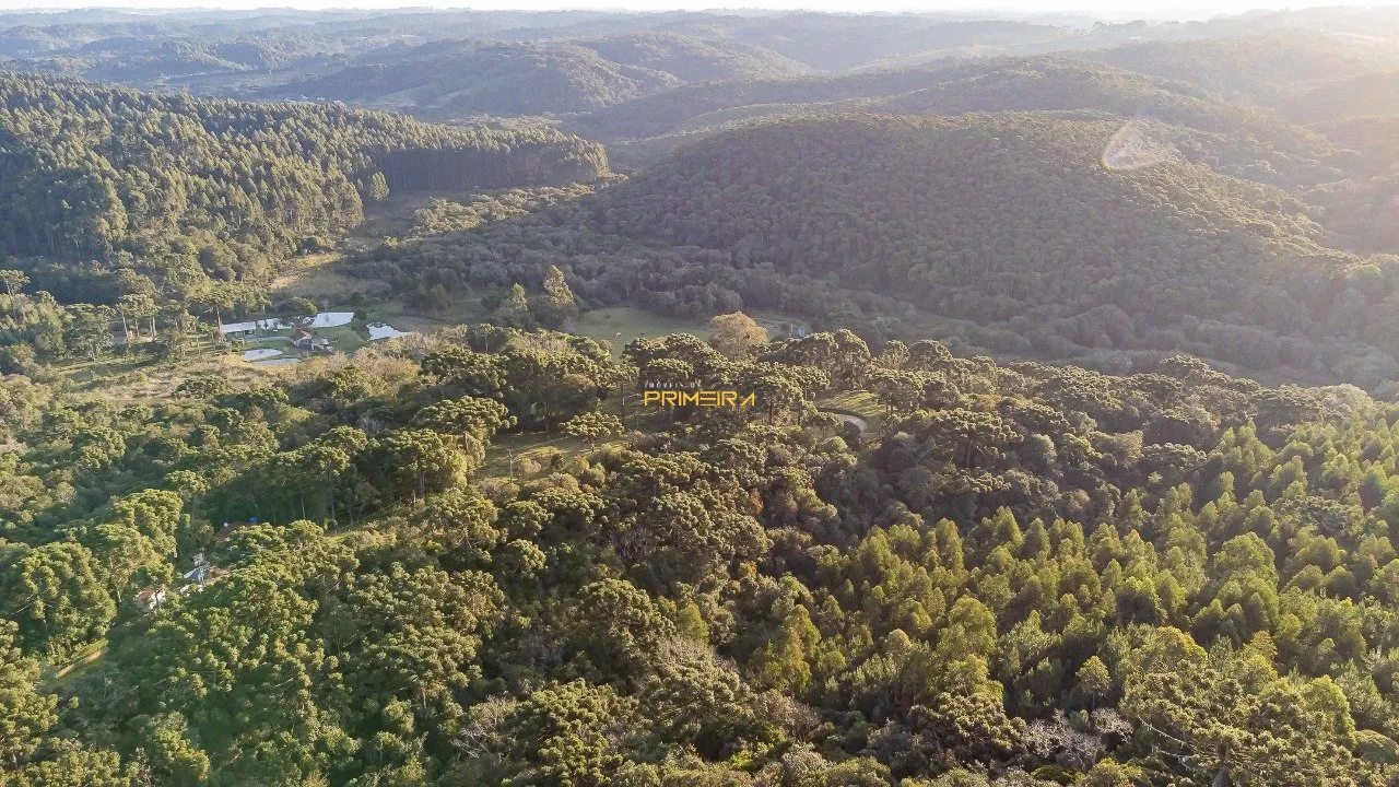 Chácaras / Sítios 3 quartos à venda em cerne, Campina Grande do Sul/PR, foto 33