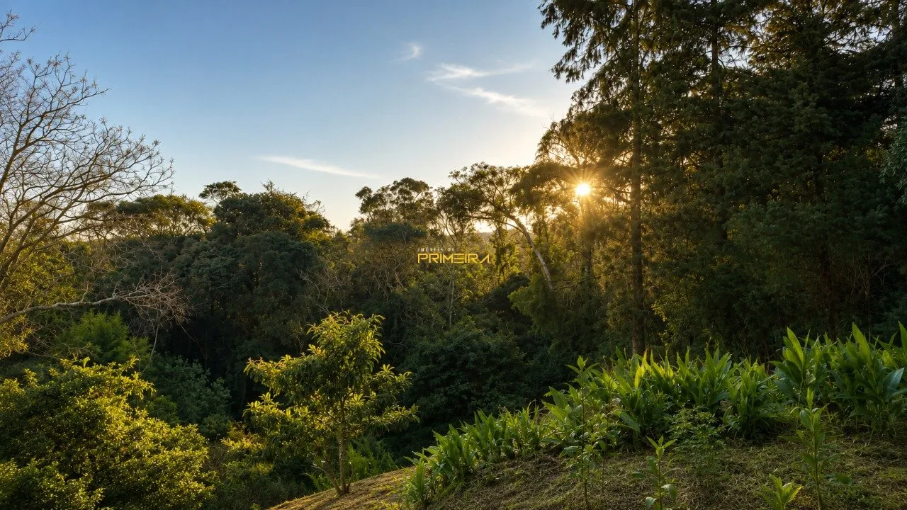 Terrenos Residenciais à venda em Centro, Araucária/PR, foto 4