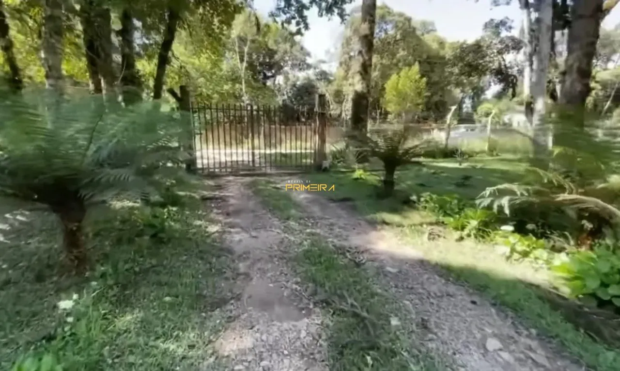 Chácaras / Sítios 4 quartos à venda em Borda do Campo, São José dos Pinhais/PR, foto 15