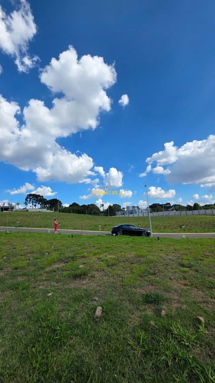 Terrenos Residenciais à venda em Taboão, Curitiba/PR, foto 3