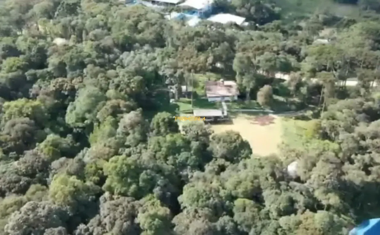 Chácaras / Sítios 4 quartos à venda em Borda do Campo, São José dos Pinhais/PR, foto 16