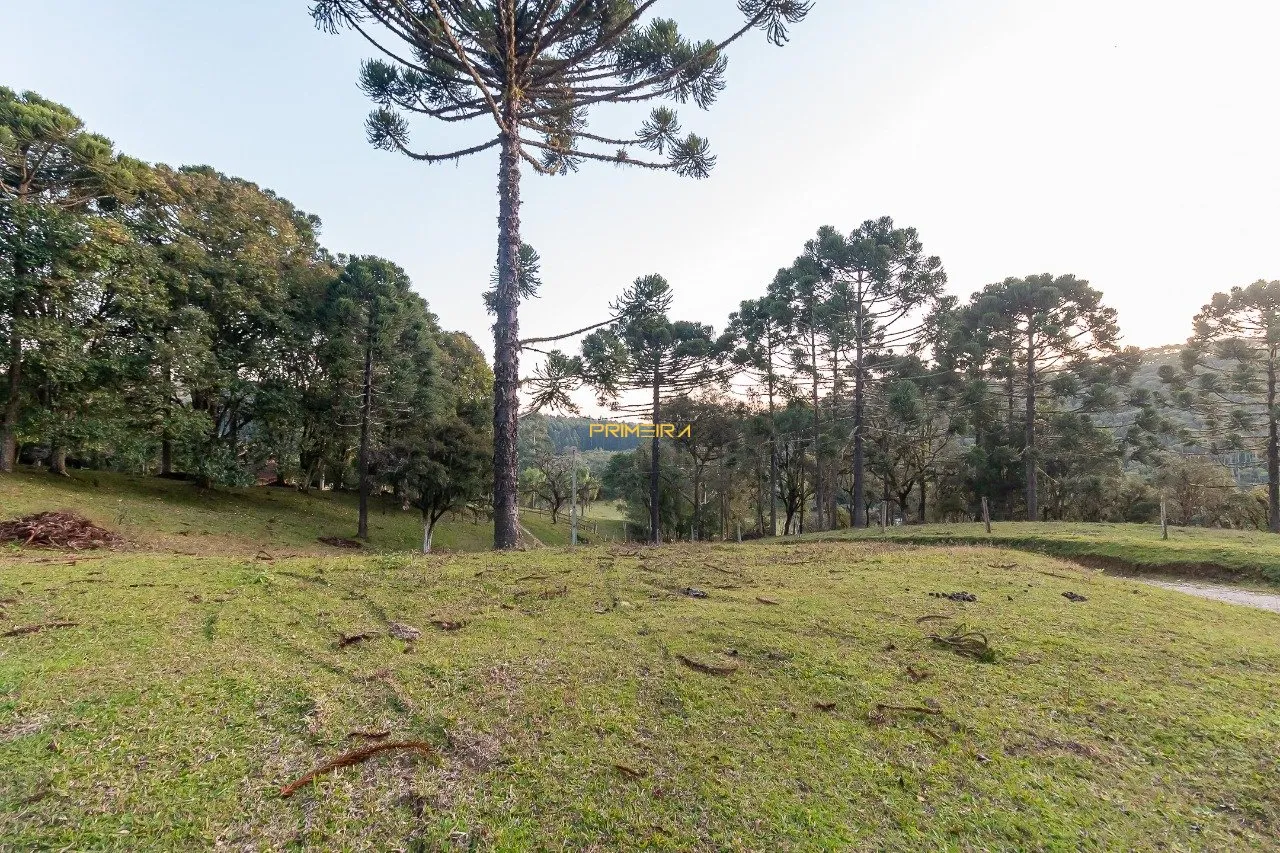 Chácaras / Sítios 3 quartos à venda em cerne, Campina Grande do Sul/PR, foto 41