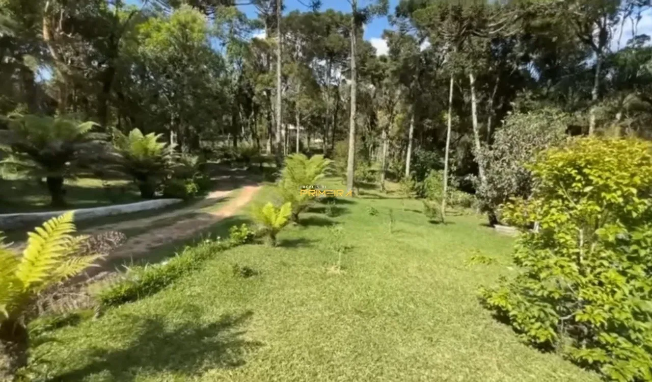 Chácaras / Sítios 4 quartos à venda em Borda do Campo, São José dos Pinhais/PR, foto 17