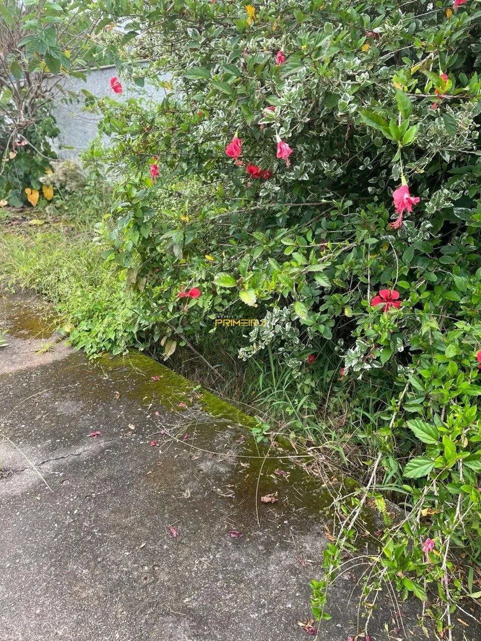 Casa 2 quartos à venda em Armação, Penha/SC, foto 12