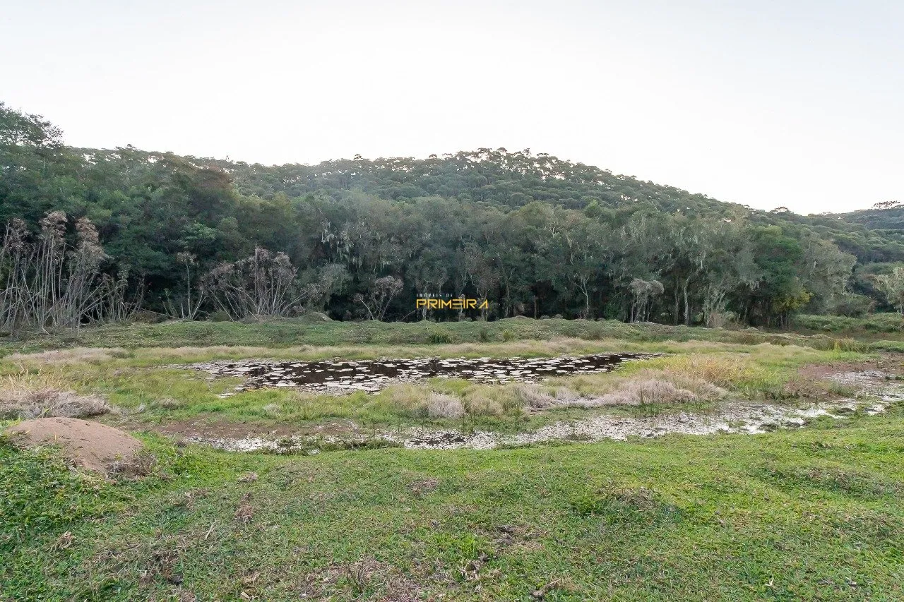 Chácaras / Sítios 3 quartos à venda em cerne, Campina Grande do Sul/PR, foto 38