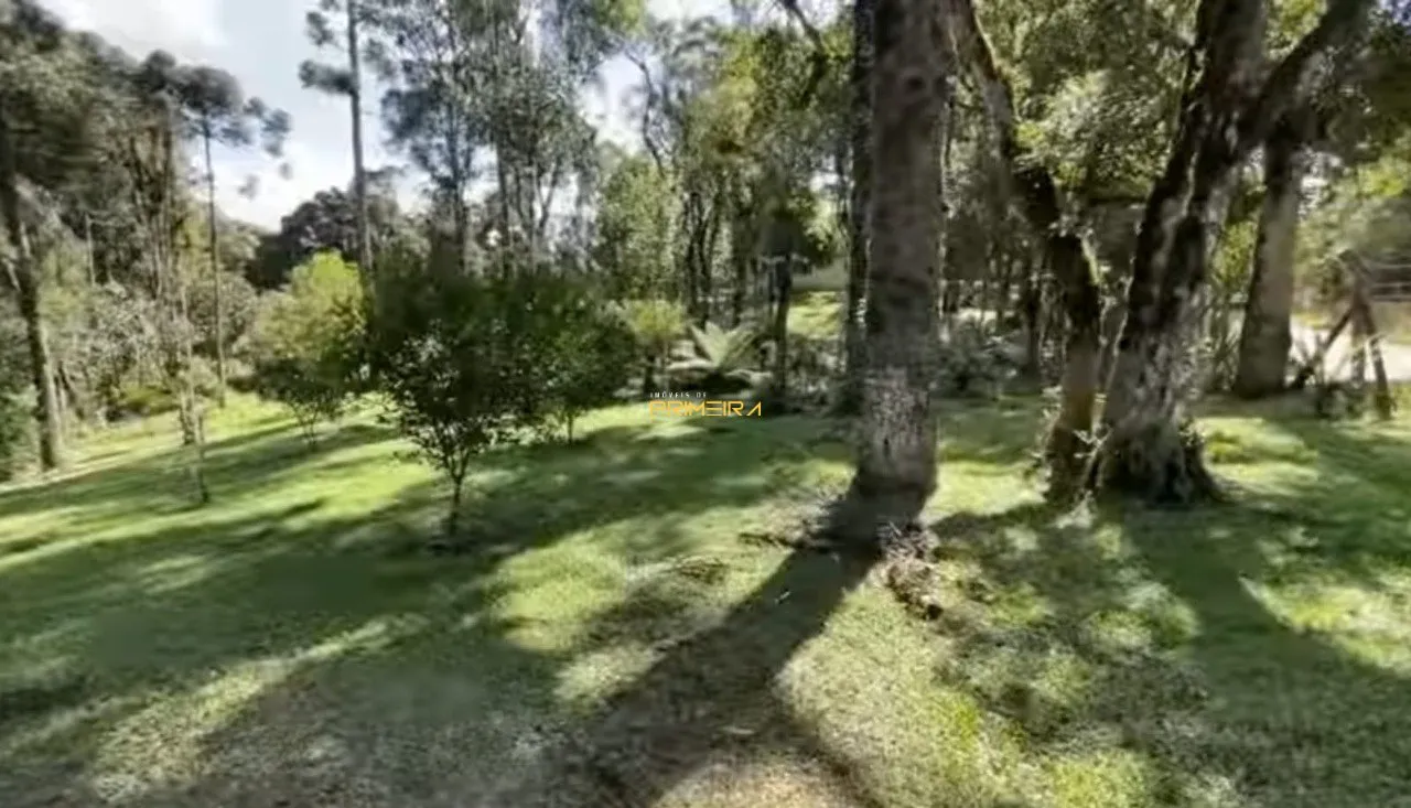 Chácaras / Sítios 4 quartos à venda em Borda do Campo, São José dos Pinhais/PR, foto 23