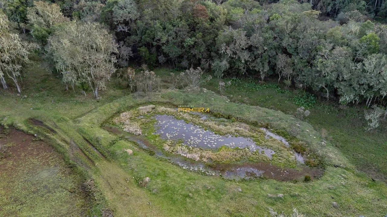 Chácaras / Sítios 3 quartos à venda em cerne, Campina Grande do Sul/PR, foto 34