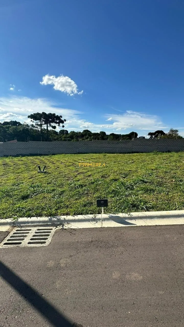 Terrenos Residenciais à venda em Taboão, Curitiba/PR, foto 2