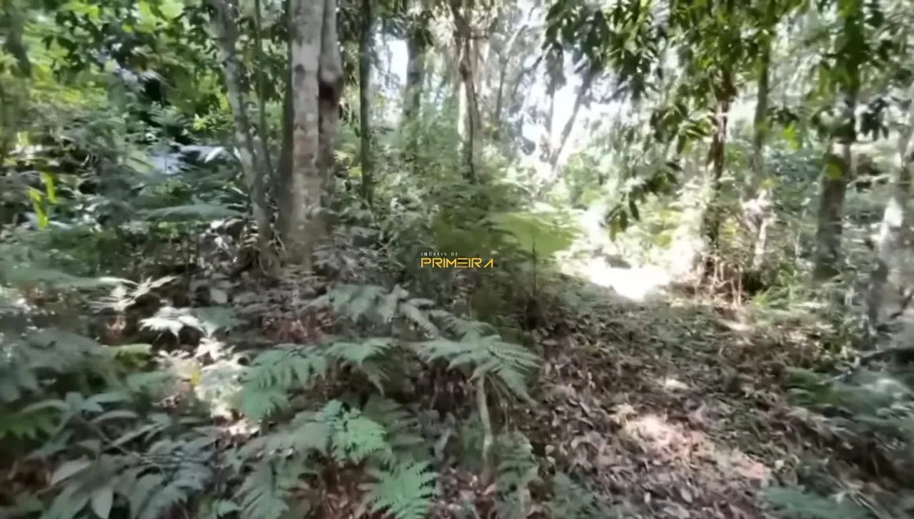 Chácaras / Sítios 4 quartos à venda em Borda do Campo, São José dos Pinhais/PR, foto 25