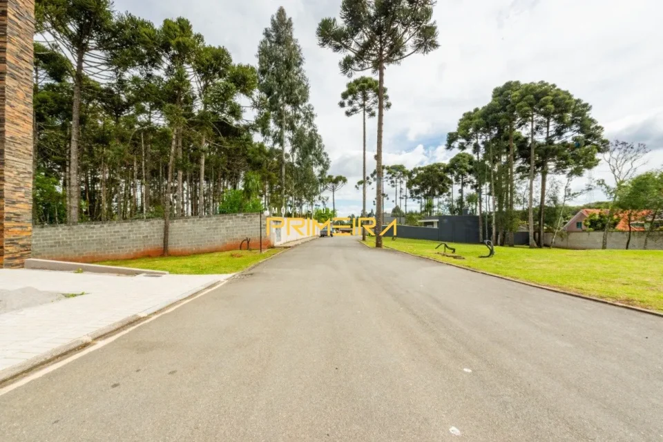 Terrenos Residenciais à venda em São Dimas, Colombo/PR, foto 4