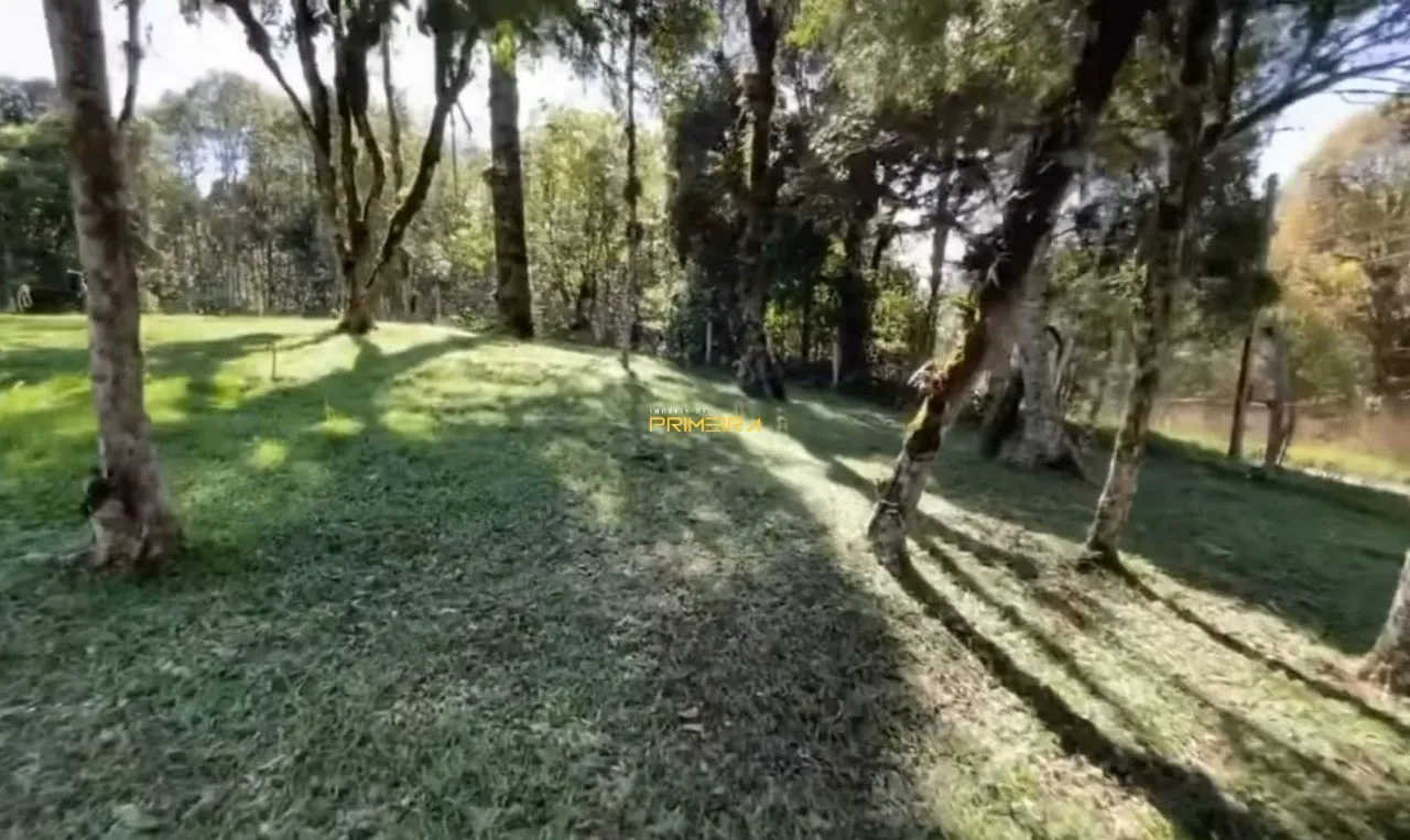 Chácaras / Sítios 4 quartos à venda em Borda do Campo, São José dos Pinhais/PR, foto 24