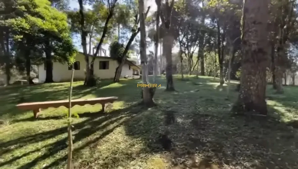 Chácaras / Sítios 4 quartos à venda em Borda do Campo, São José dos Pinhais/PR, foto 2