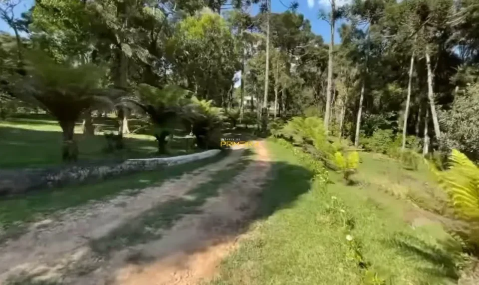 Chácaras / Sítios 4 quartos à venda em Borda do Campo, São José dos Pinhais/PR, foto 3