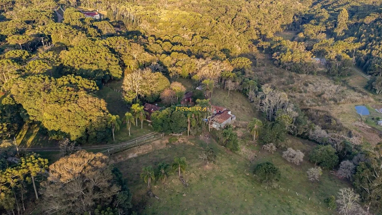 Chácaras / Sítios 3 quartos à venda em cerne, Campina Grande do Sul/PR, foto 1