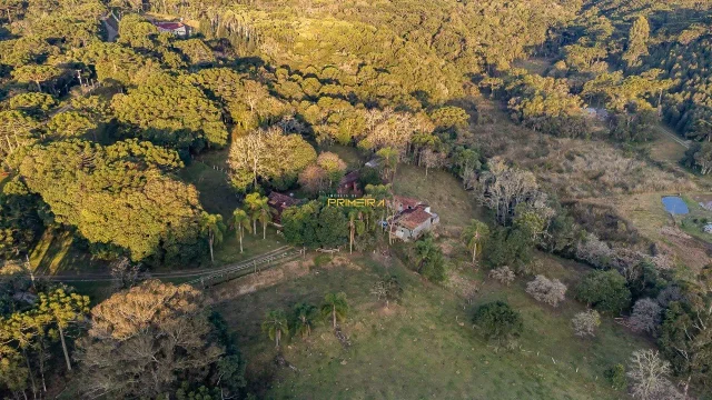 Chácara em Campina Grande do Sul - PR