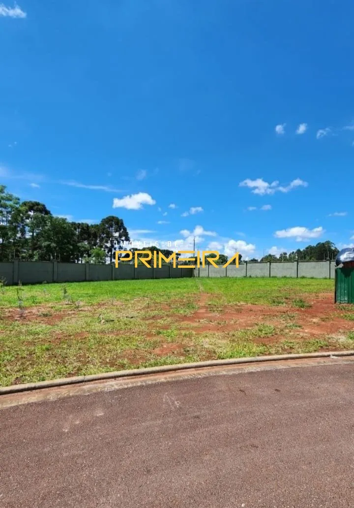Terrenos Residenciais à venda em Jardim Carvalho, Ponta Grossa/PR, foto 12