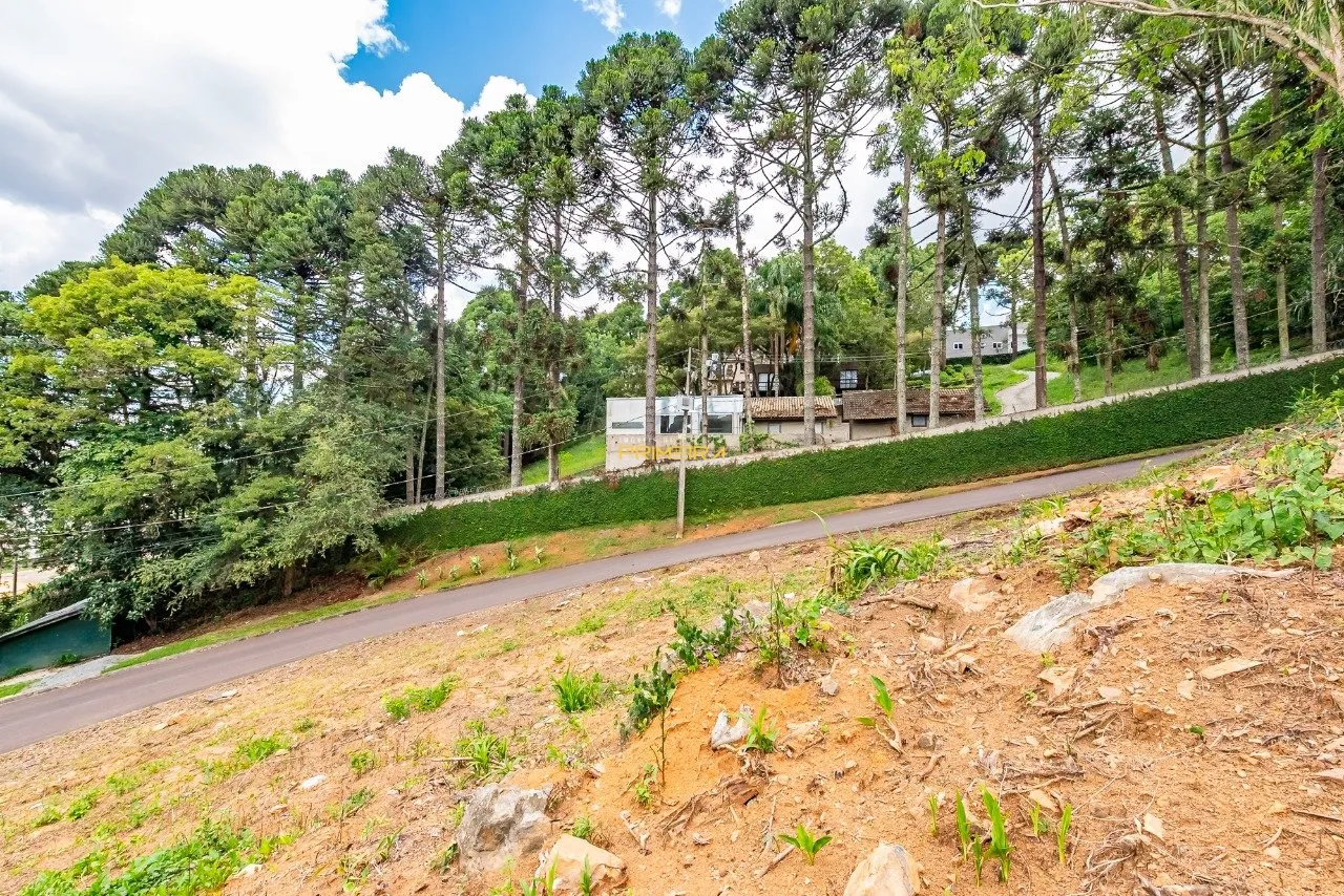 Terrenos Residenciais à venda em Campo Comprido, Curitiba/PR, foto 6