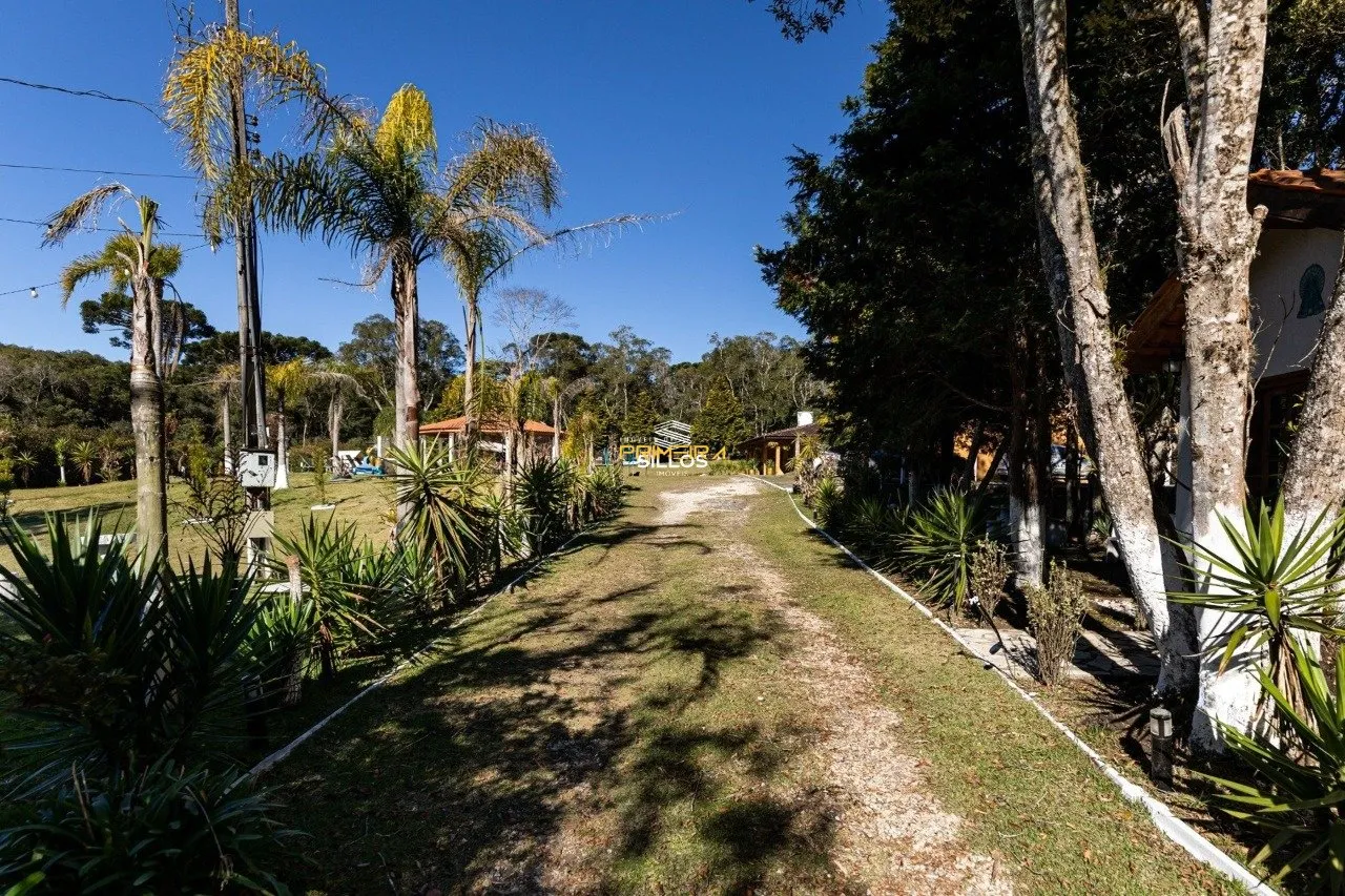 Chácaras / Sítios 2 quartos à venda em Borda do Campo, São José dos Pinhais/PR, foto 3