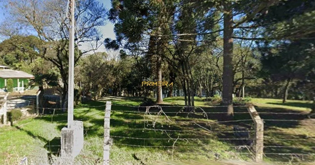 Área à venda em Jardim Dona Belizaria, Almirante Tamandaré/PR, foto 4