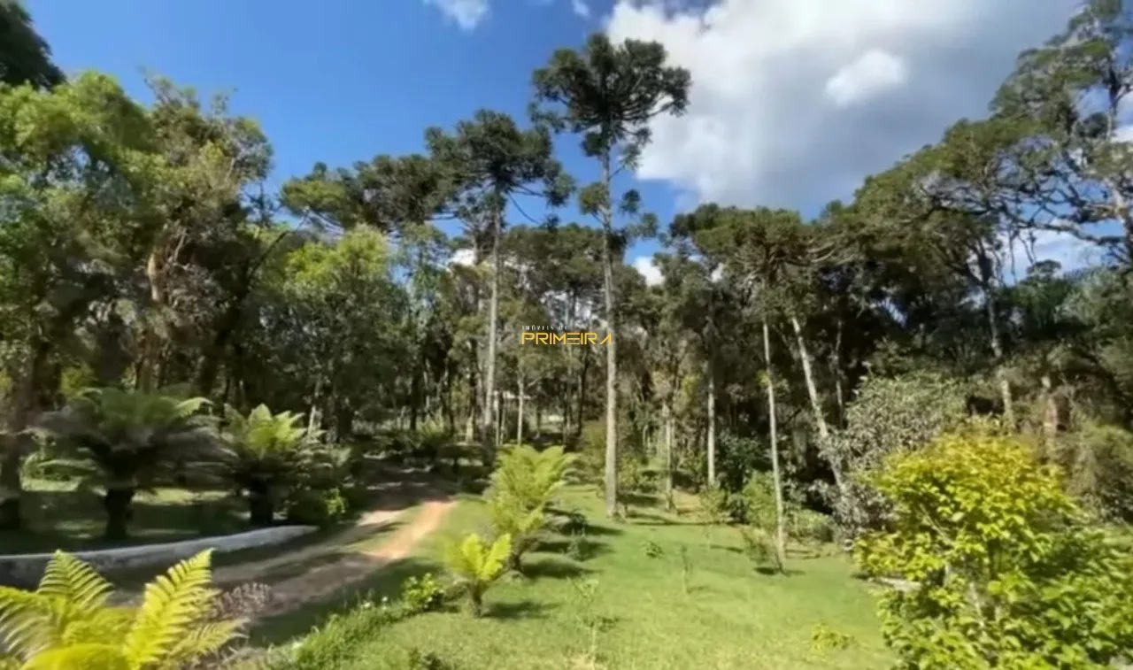 Chácaras / Sítios 4 quartos à venda em Borda do Campo, São José dos Pinhais/PR, foto 26