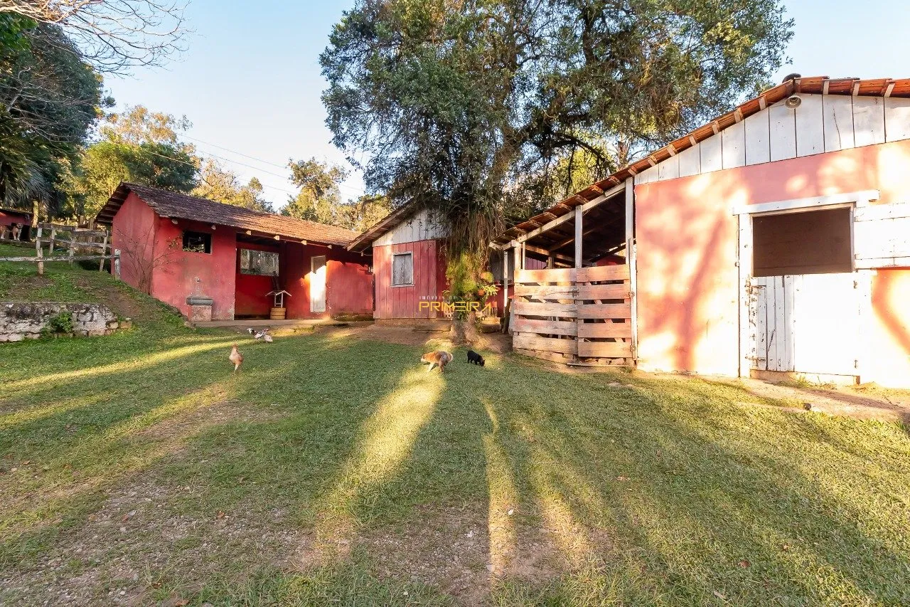 Chácaras / Sítios 3 quartos à venda em cerne, Campina Grande do Sul/PR, foto 29