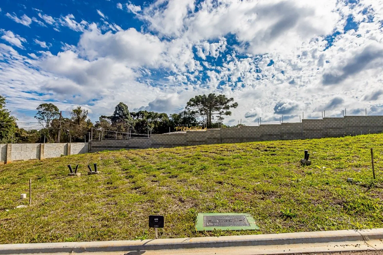 Terrenos Residenciais à venda em Taboão, Curitiba/PR, foto 2