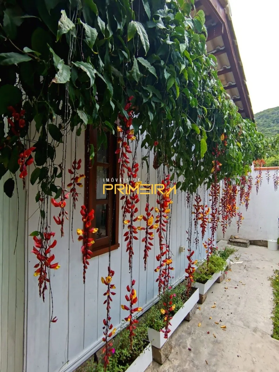 Casa 5 quartos à venda em Taquaras, Balneário Camboriú/SC, foto 28