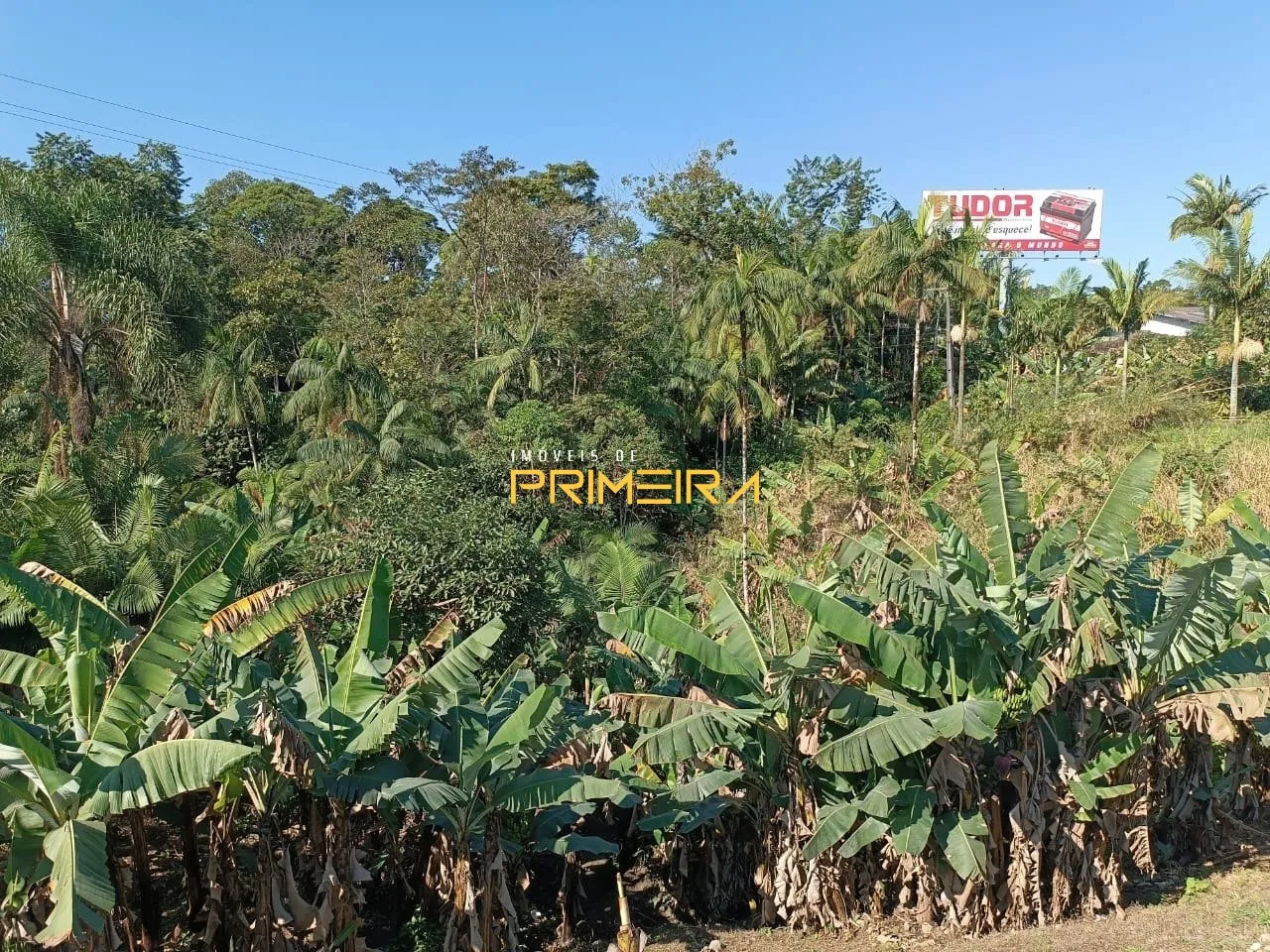 Chácaras / Sítios 5 quartos à venda em Centro, Garuva/SC, foto 18