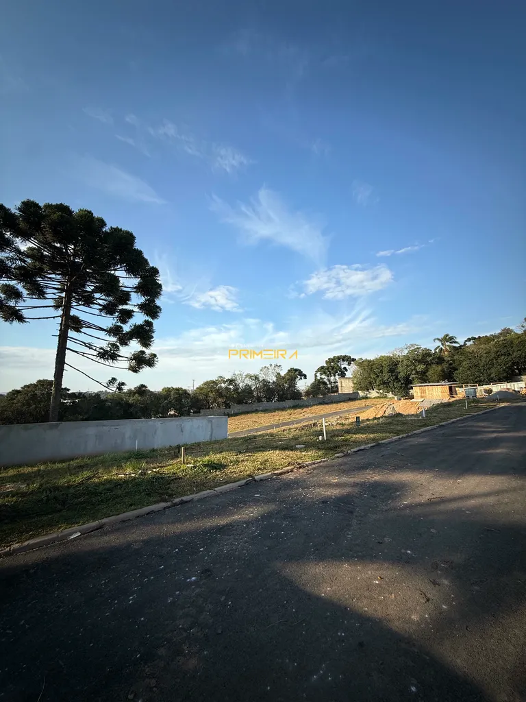 Terrenos Residenciais à venda em Taboão, Curitiba/PR, foto 2