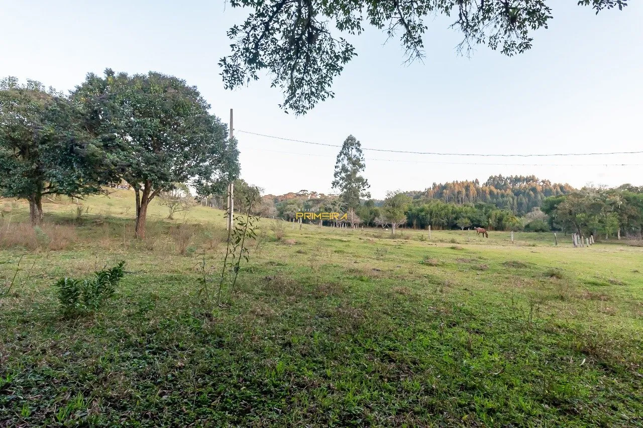 Chácaras / Sítios 3 quartos à venda em cerne, Campina Grande do Sul/PR, foto 40