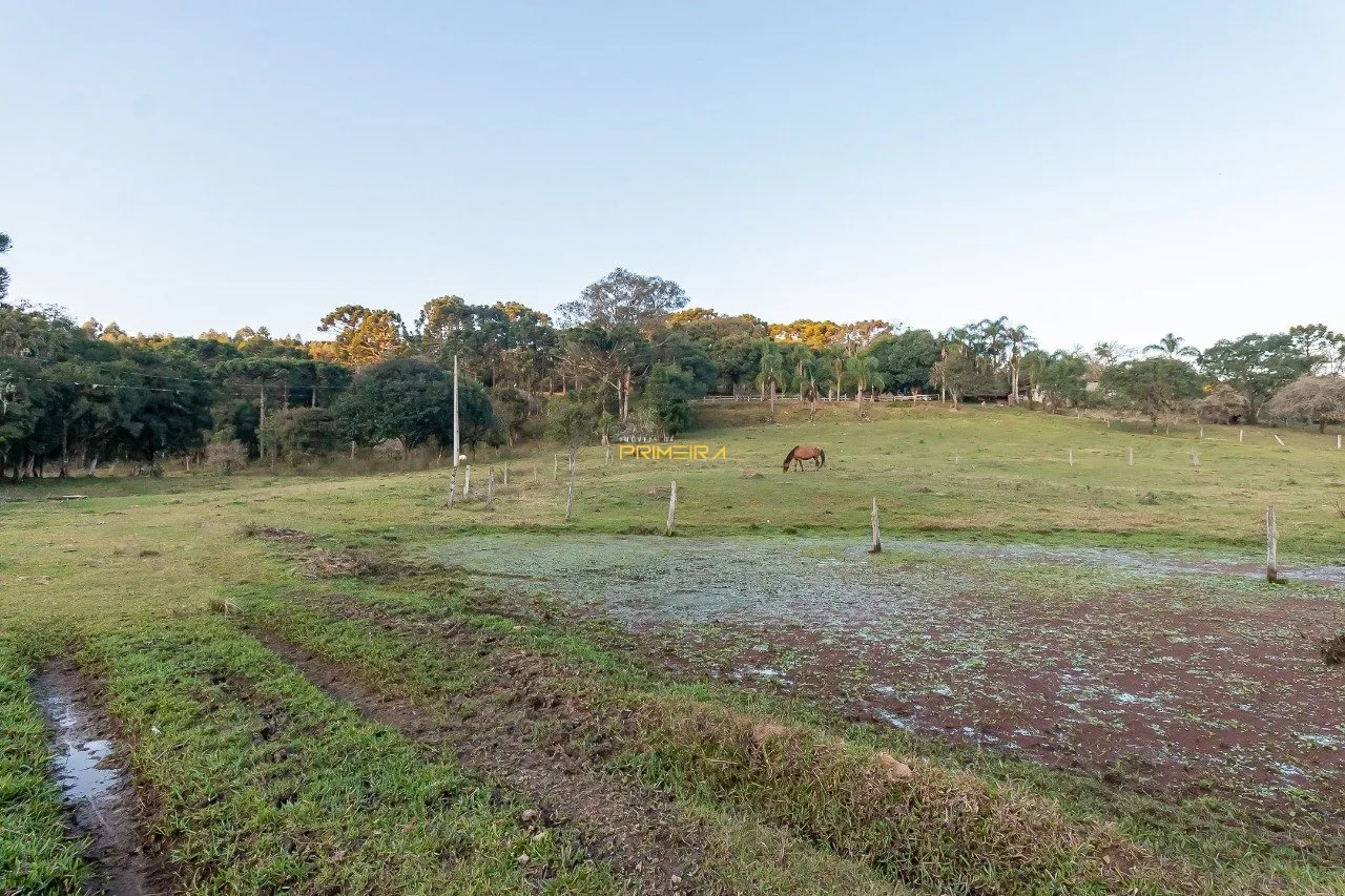 Chácaras / Sítios 3 quartos à venda em cerne, Campina Grande do Sul/PR, foto 39
