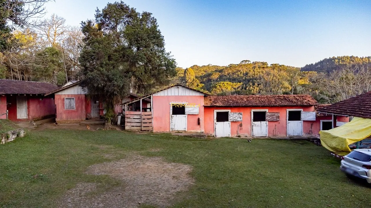 Chácaras / Sítios 3 quartos à venda em cerne, Campina Grande do Sul/PR, foto 6