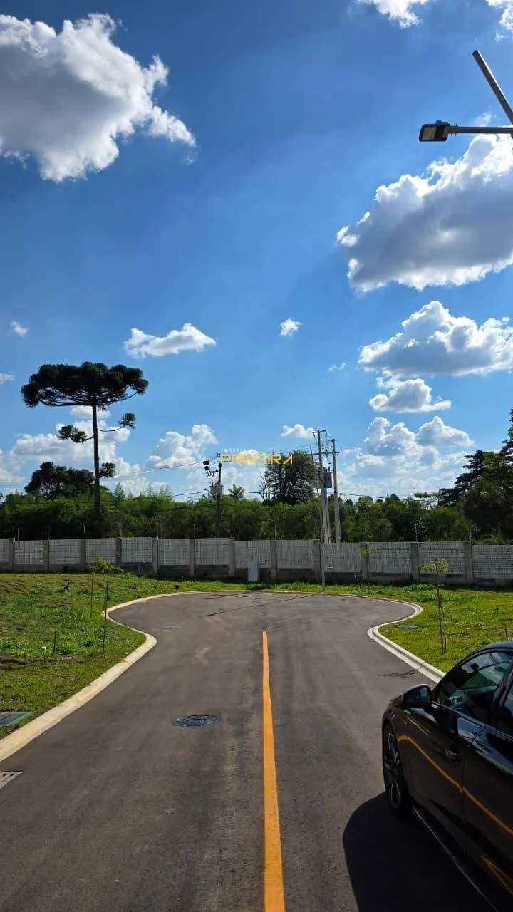 Terrenos Residenciais à venda em Taboão, Curitiba/PR, foto 4