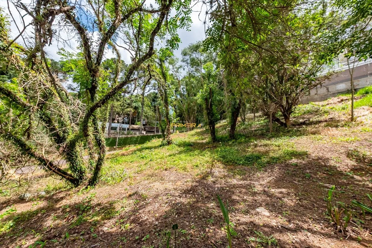 Terrenos Residenciais à venda em Campo Comprido, Curitiba/PR, foto 8