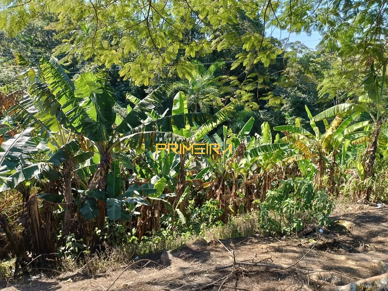 Chácaras / Sítios 5 quartos à venda em Centro, Garuva/SC, foto 19