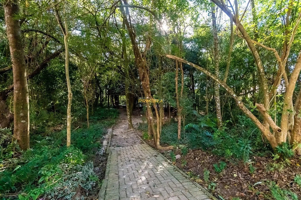 Apartamento 2 quartos à venda em Ecoville, Curitiba/PR, foto 44
