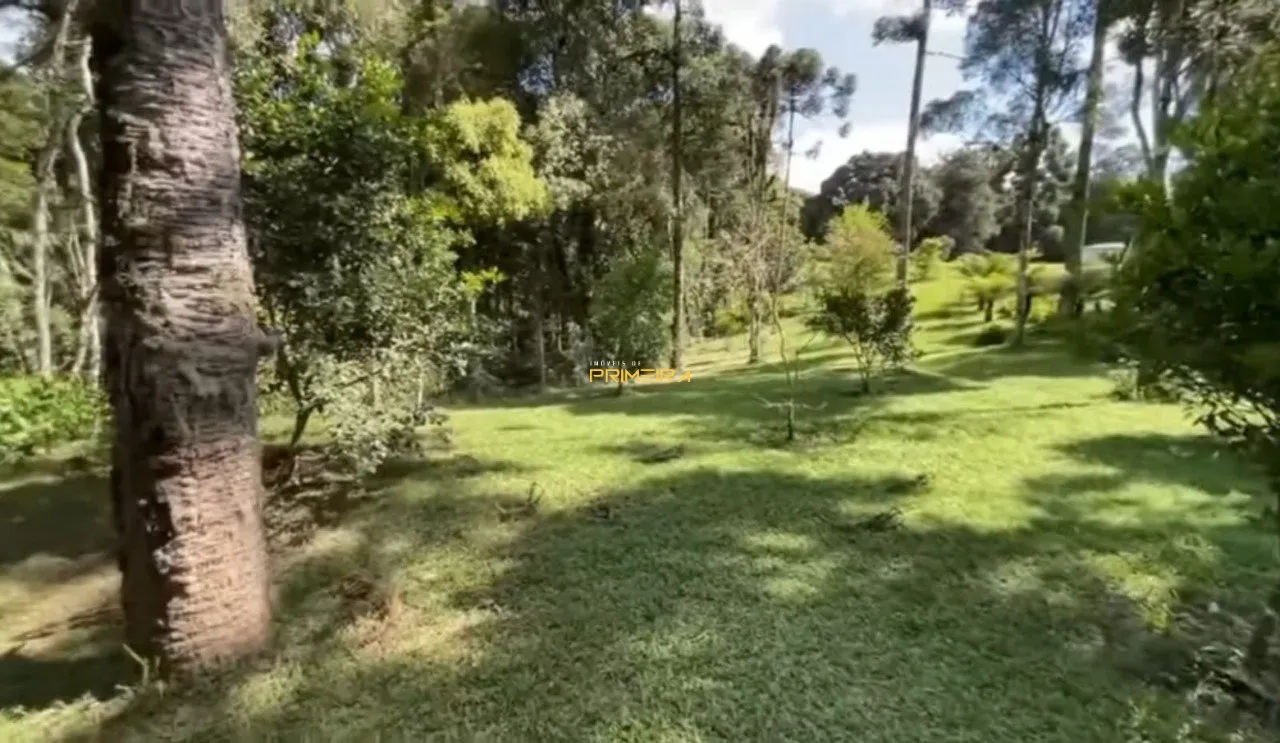 Chácaras / Sítios 4 quartos à venda em Borda do Campo, São José dos Pinhais/PR, foto 4