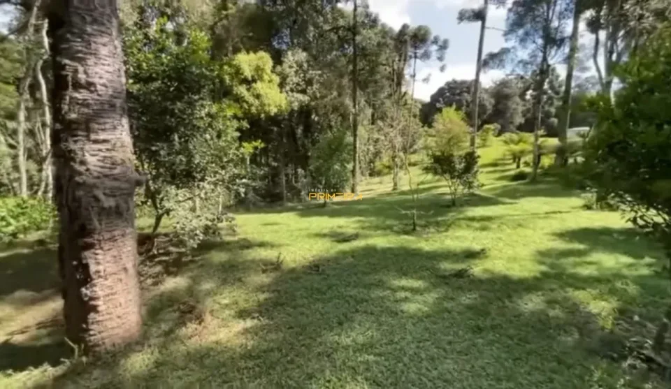 Chácaras / Sítios 4 quartos à venda em Borda do Campo, São José dos Pinhais/PR, foto 4