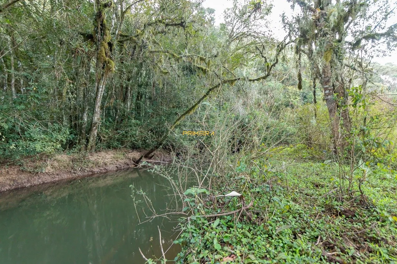 Chácaras / Sítios 3 quartos à venda em cerne, Campina Grande do Sul/PR, foto 27