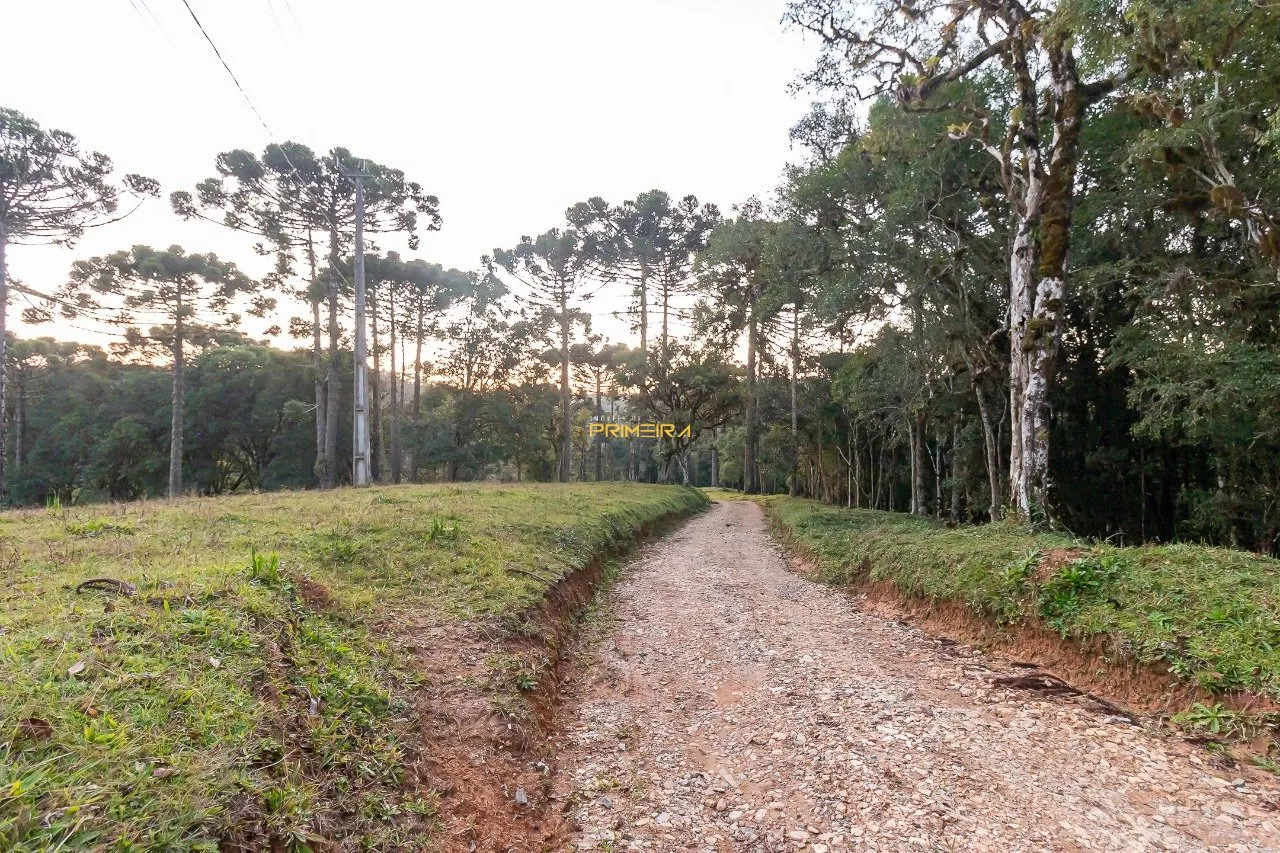 Chácaras / Sítios 3 quartos à venda em cerne, Campina Grande do Sul/PR, foto 42