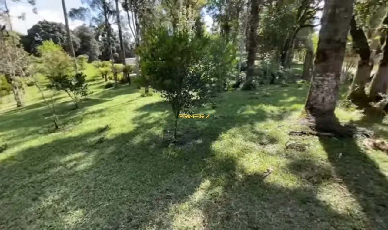 Chácaras / Sítios 4 quartos à venda em Borda do Campo, São José dos Pinhais/PR, foto 18