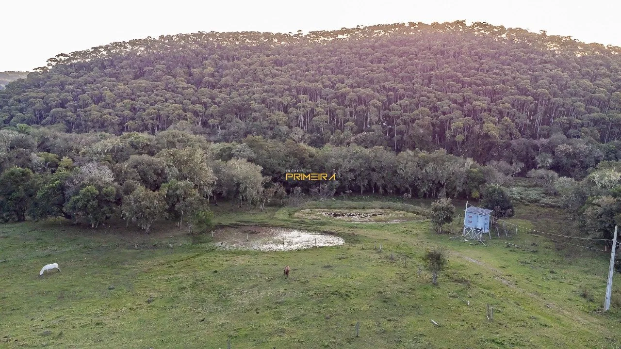 Chácaras / Sítios 3 quartos à venda em cerne, Campina Grande do Sul/PR, foto 35