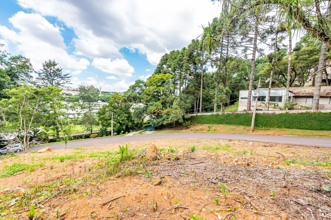 Terrenos Residenciais à venda em Campo Comprido, Curitiba/PR, foto 7